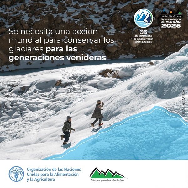 cartel días internacionais